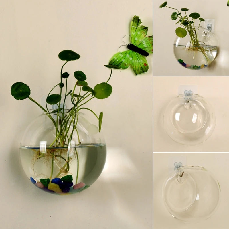 Wall Hanging Hydroponic Glass Vase